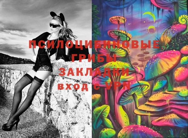 PSILOCYBIN Аркадак